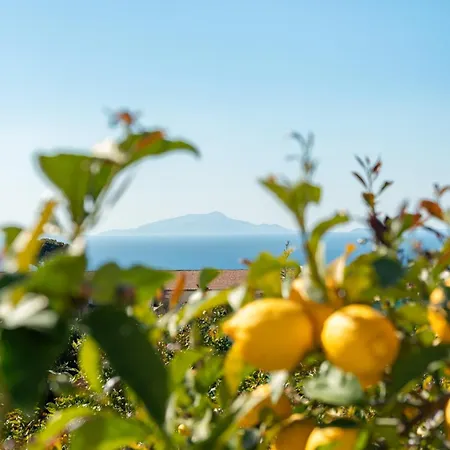Sorrentovibes - The Lemon Grove With Private Pool, Garden And Terrace * Massa Lubrense